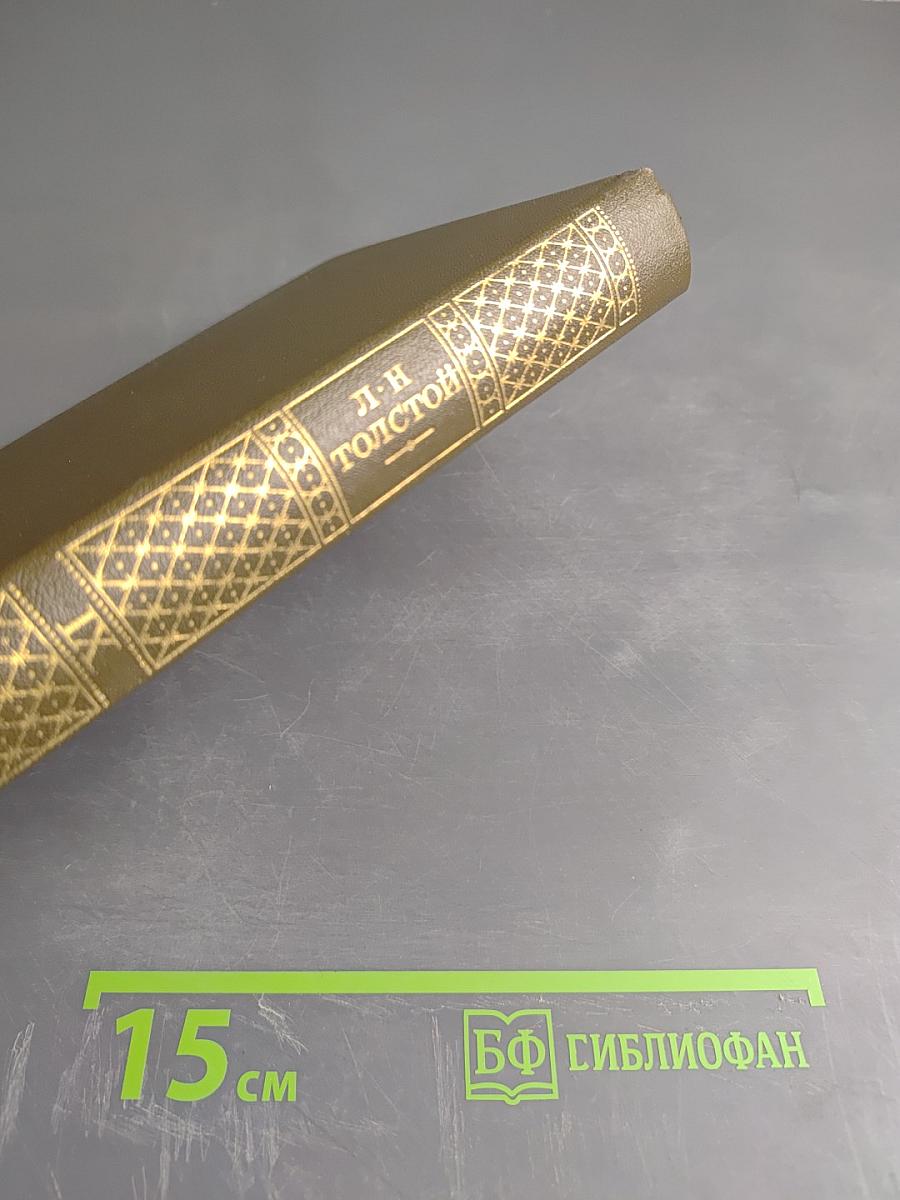 Анна Каренина. Роман в восьми частях. Части пятая-восьмая (Том девятый)