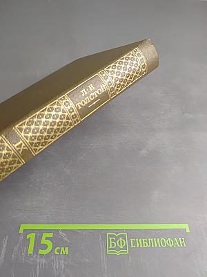 Анна Каренина. Роман в восьми частях. Части пятая-восьмая (Том девятый)