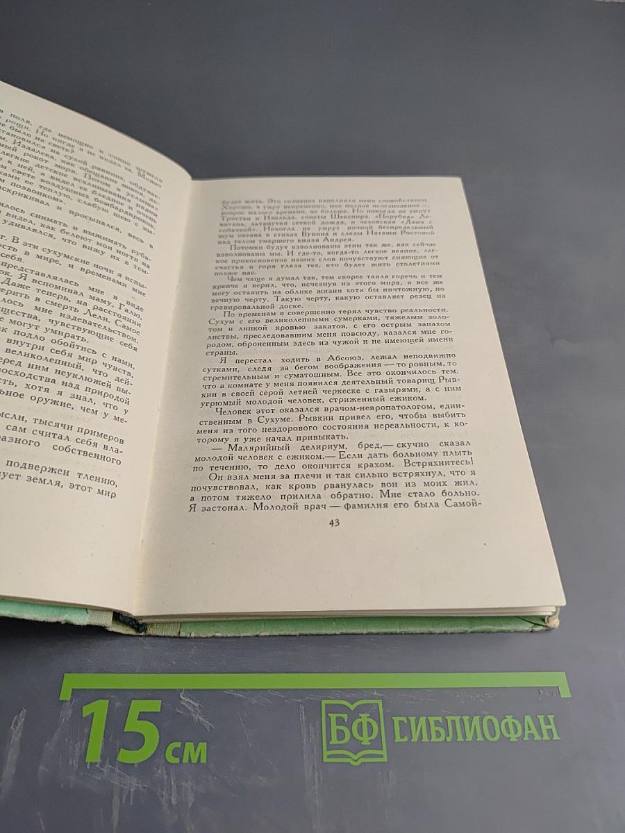 Бросок на юг