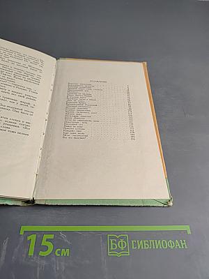 Бросок на юг