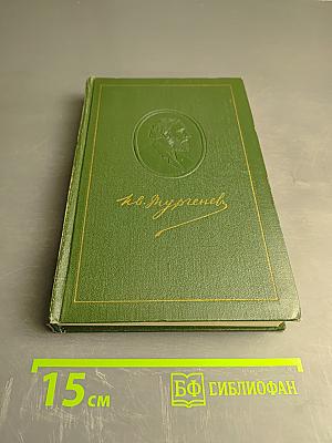 Собрание сочинений. Том седьмой. Повести и рассказы 1862-1870 годов