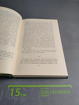 Собрание сочинений. Том седьмой. Повести и рассказы 1862-1870 годов