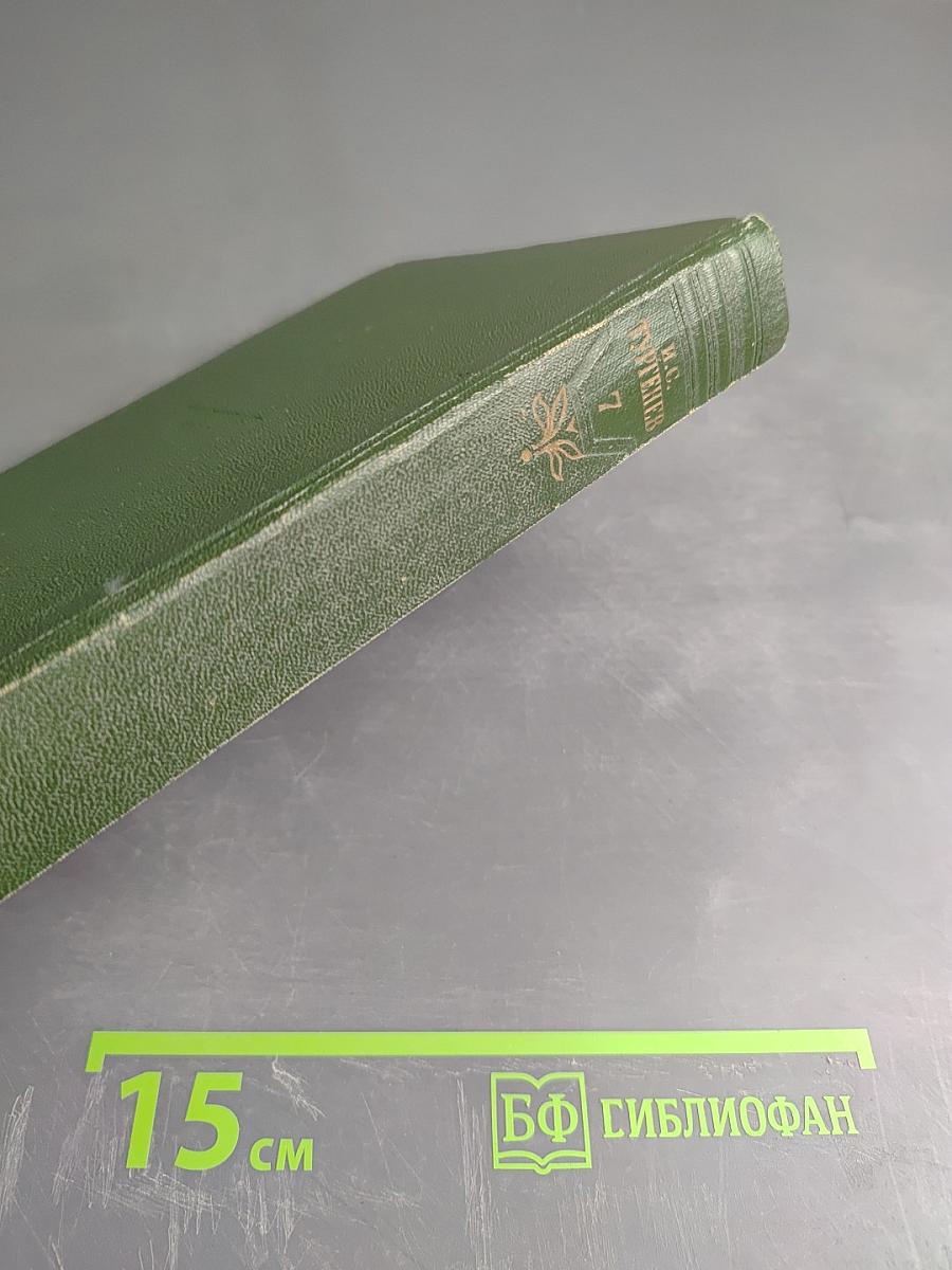 Собрание сочинений. Том седьмой. Повести и рассказы 1862-1870 годов