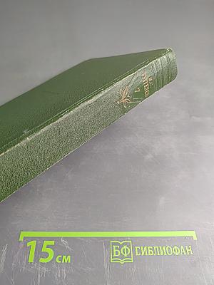 Собрание сочинений. Том седьмой. Повести и рассказы 1862-1870 годов
