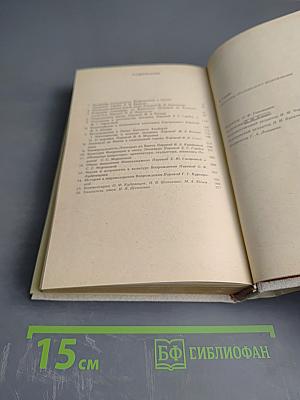 Проблемы итальянского Возрождения