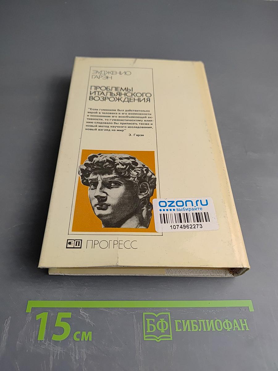 Проблемы итальянского Возрождения