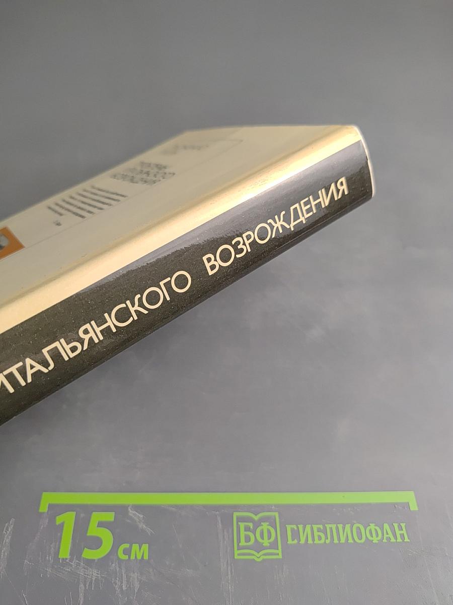 Проблемы итальянского Возрождения