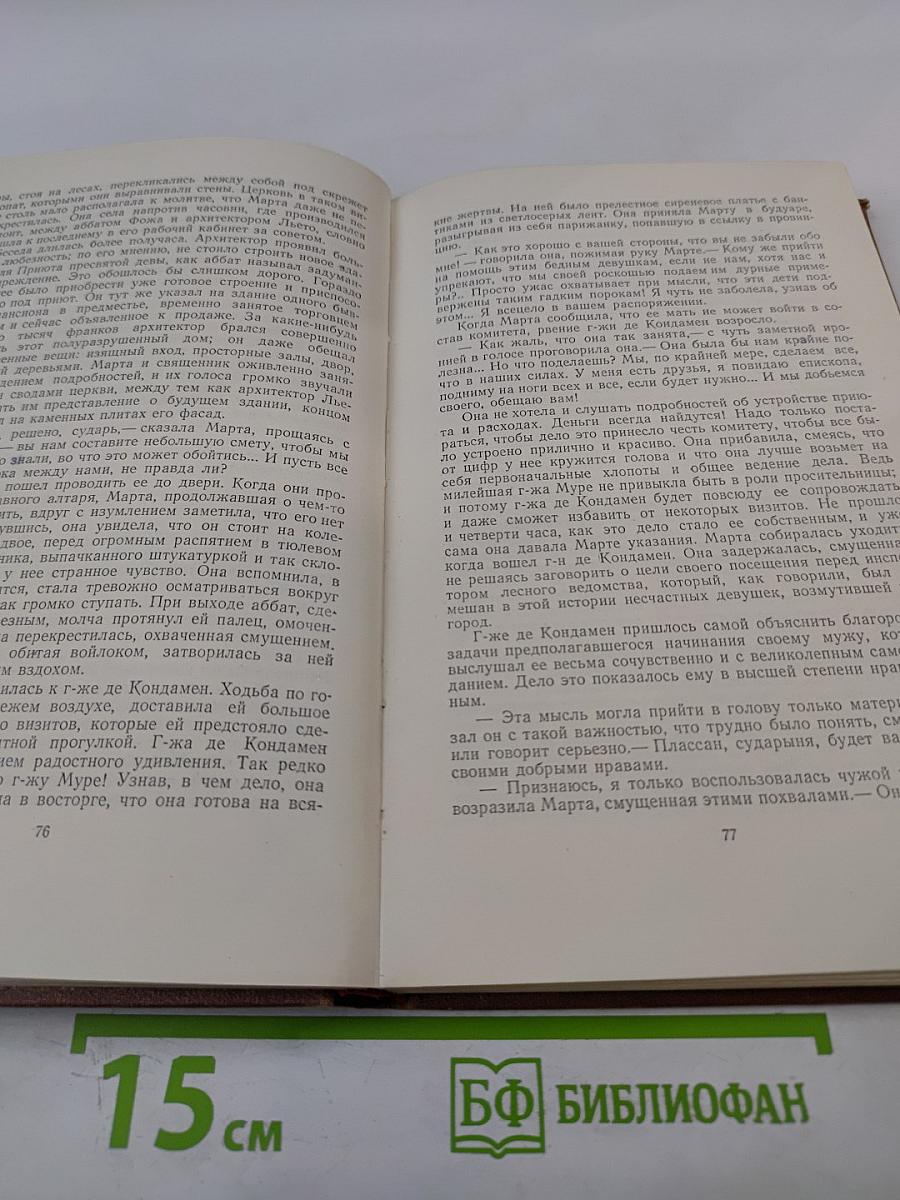 Собрание сочинений. Том 3. Завоевание Плассана