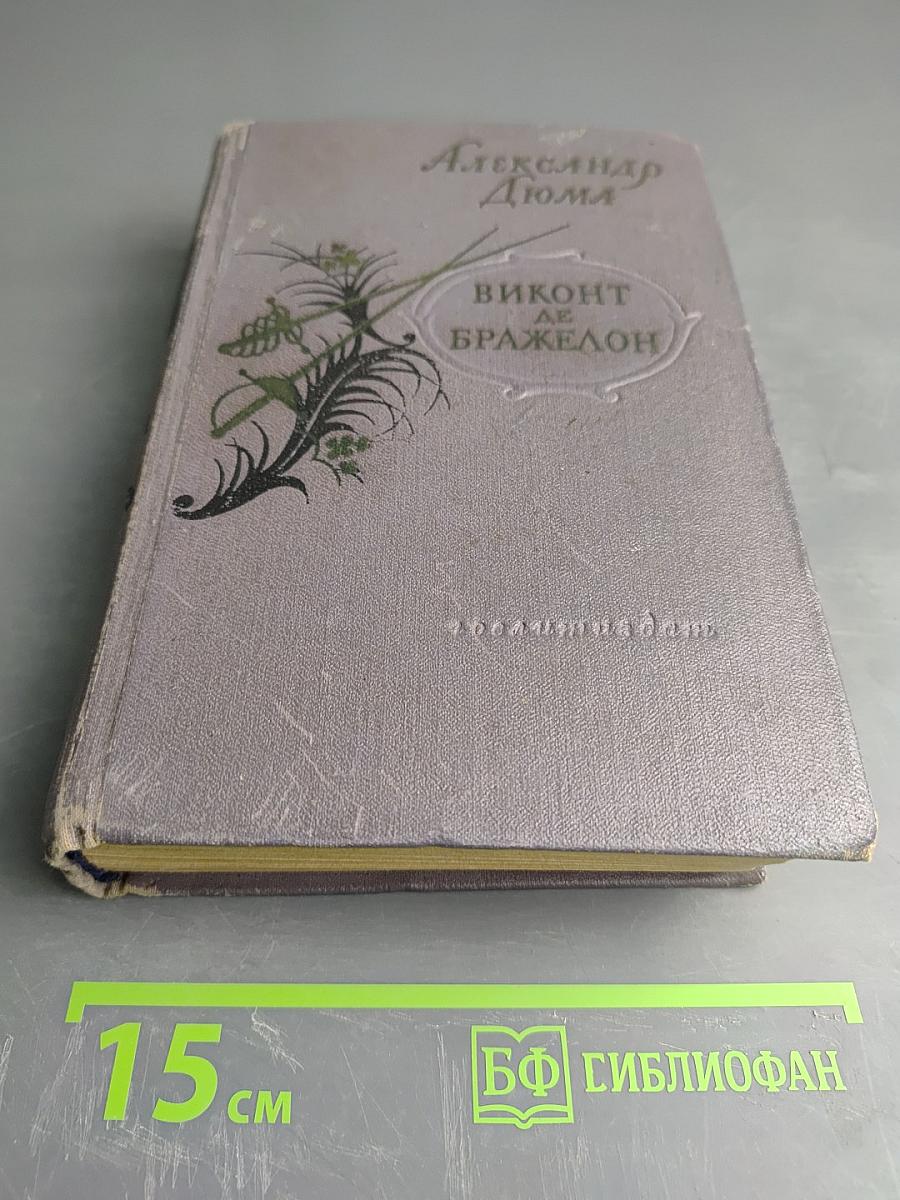 Виконт де Бражелон, или Десять лет спустя. Часть I