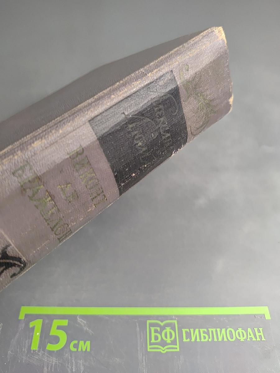 Виконт де Бражелон, или Десять лет спустя. Часть I