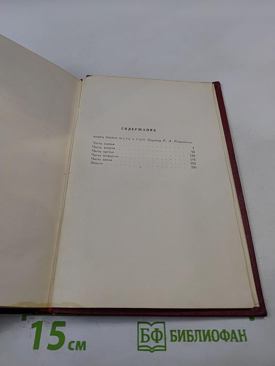 Собрание сочинений. Том девятый. Очарованная душа. Книга третья