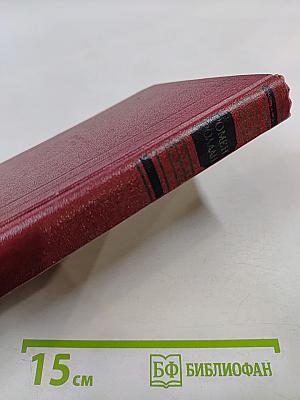 Собрание сочинений. Том девятый. Очарованная душа. Книга третья