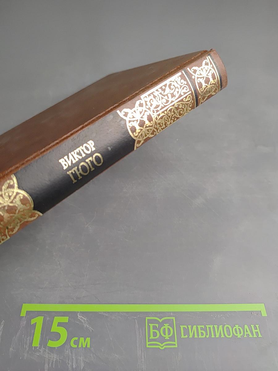 Избранные сочинения. Том четвертый. Человек, который смеется (окончание)