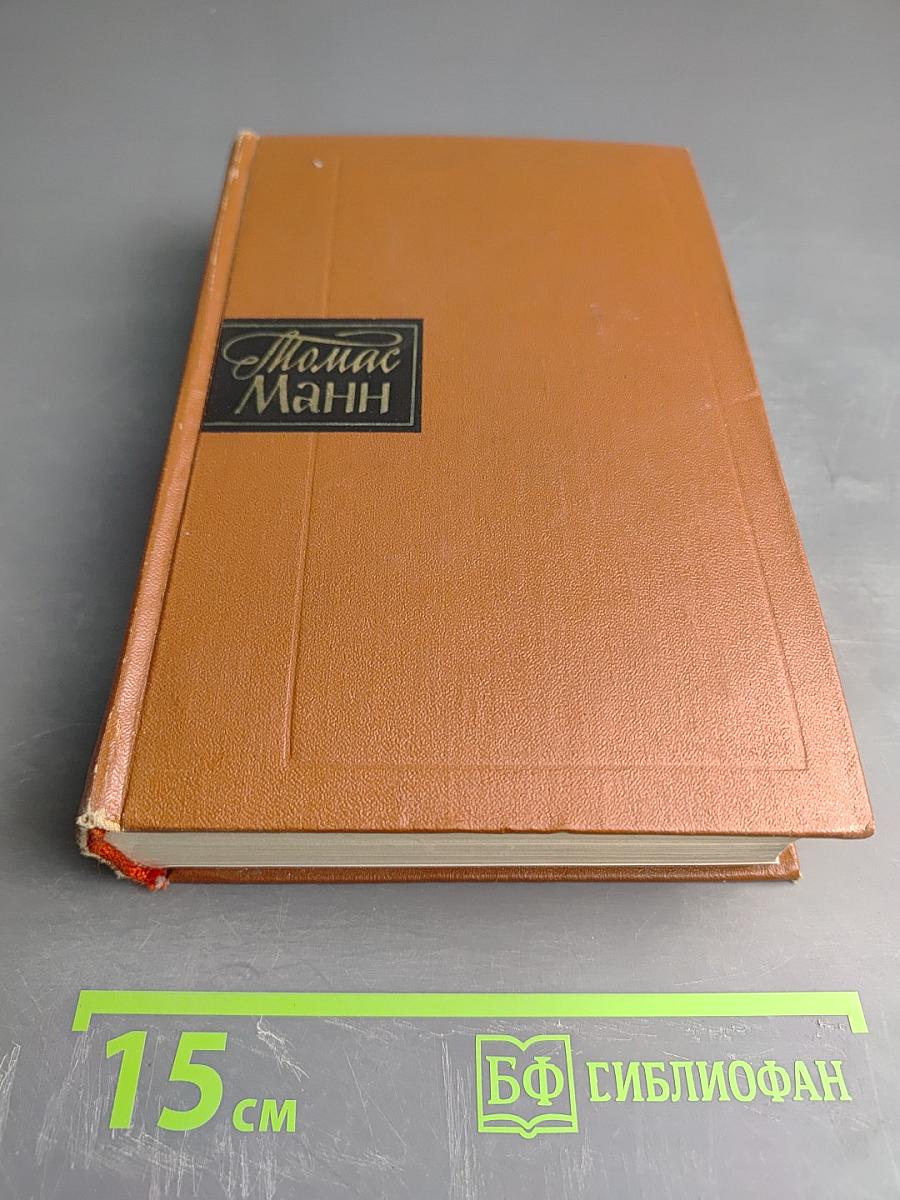 Собрание сочинений. Том первый. Будденброки