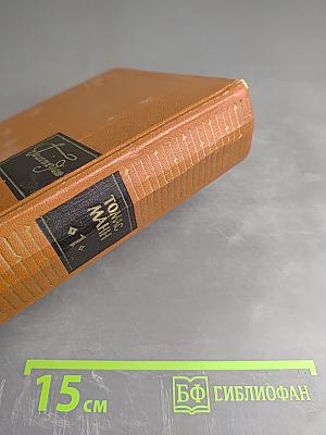 Собрание сочинений. Том первый. Будденброки