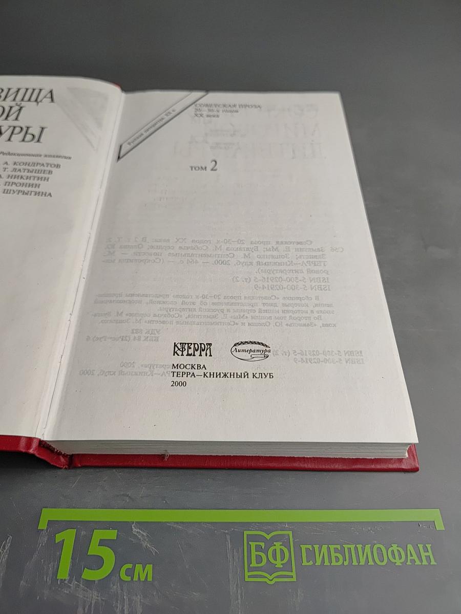 Советская проза 20-30-х годов XX века. Том 2