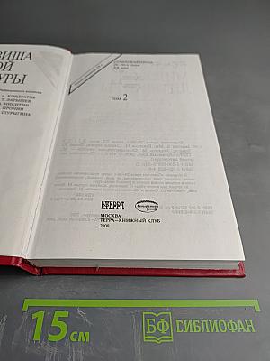 Советская проза 20-30-х годов XX века. Том 2