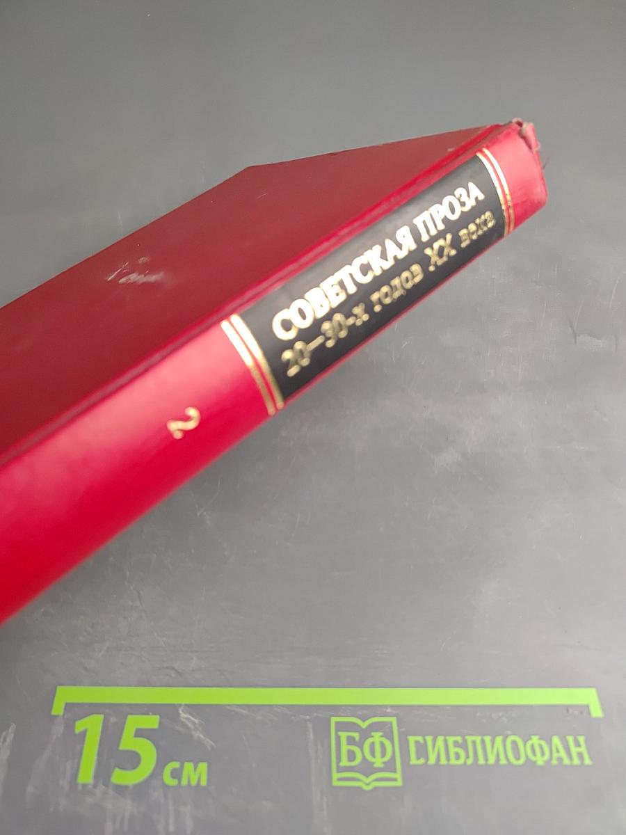 Советская проза 20-30-х годов XX века. Том 2