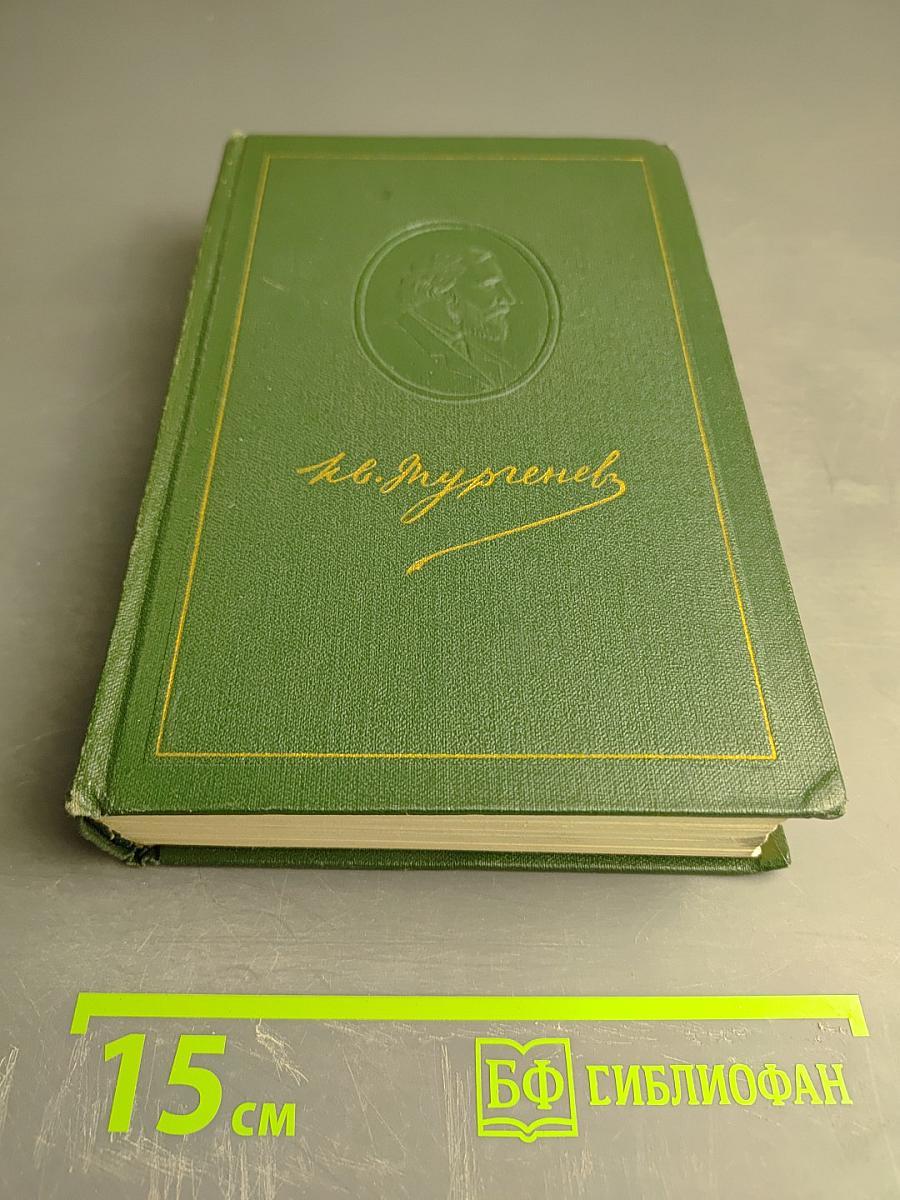 Собрание сочинений. Том восьмой: Повести и рассказы 1871-1882 годов. Стихотворения в прозе