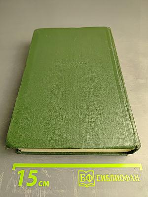 Собрание сочинений. Том восьмой: Повести и рассказы 1871-1882 годов. Стихотворения в прозе