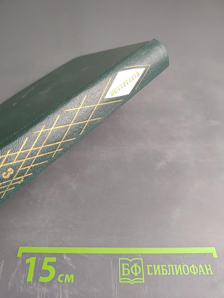 И.С. Тургенев. Собрание сочинений. Том третий. Накануне. Отцы и дети