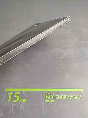 Своевременные мысли, или Пророки в своем Отечестве