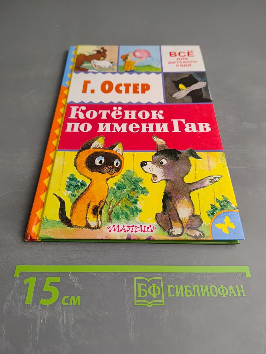 Котёнок по имени Гав