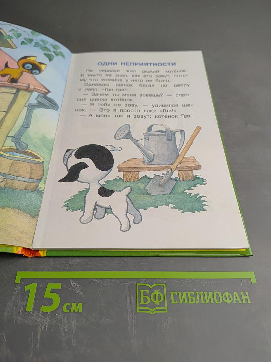 Котёнок по имени Гав