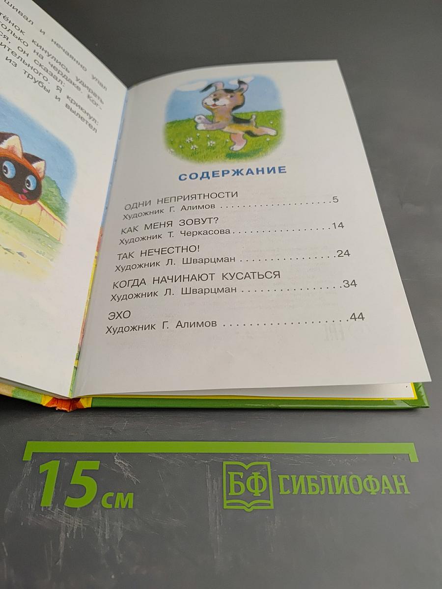 Котёнок по имени Гав