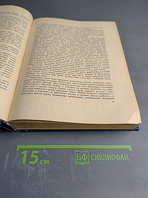 Джесси и Моргиана