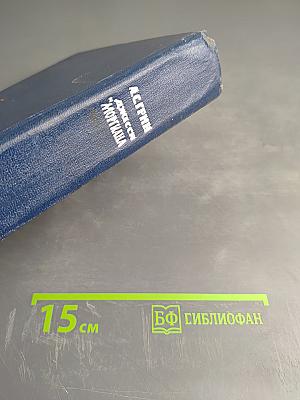 Джесси и Моргиана