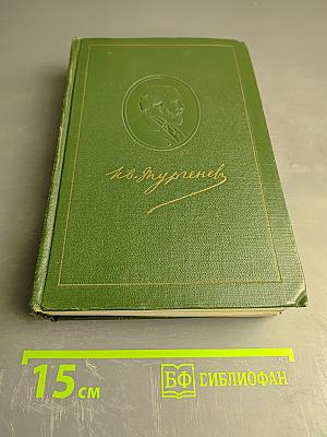 Собрание сочинений. Том одиннадцатый: Литературно-критические статьи и речи. Биографические очерки и заметки