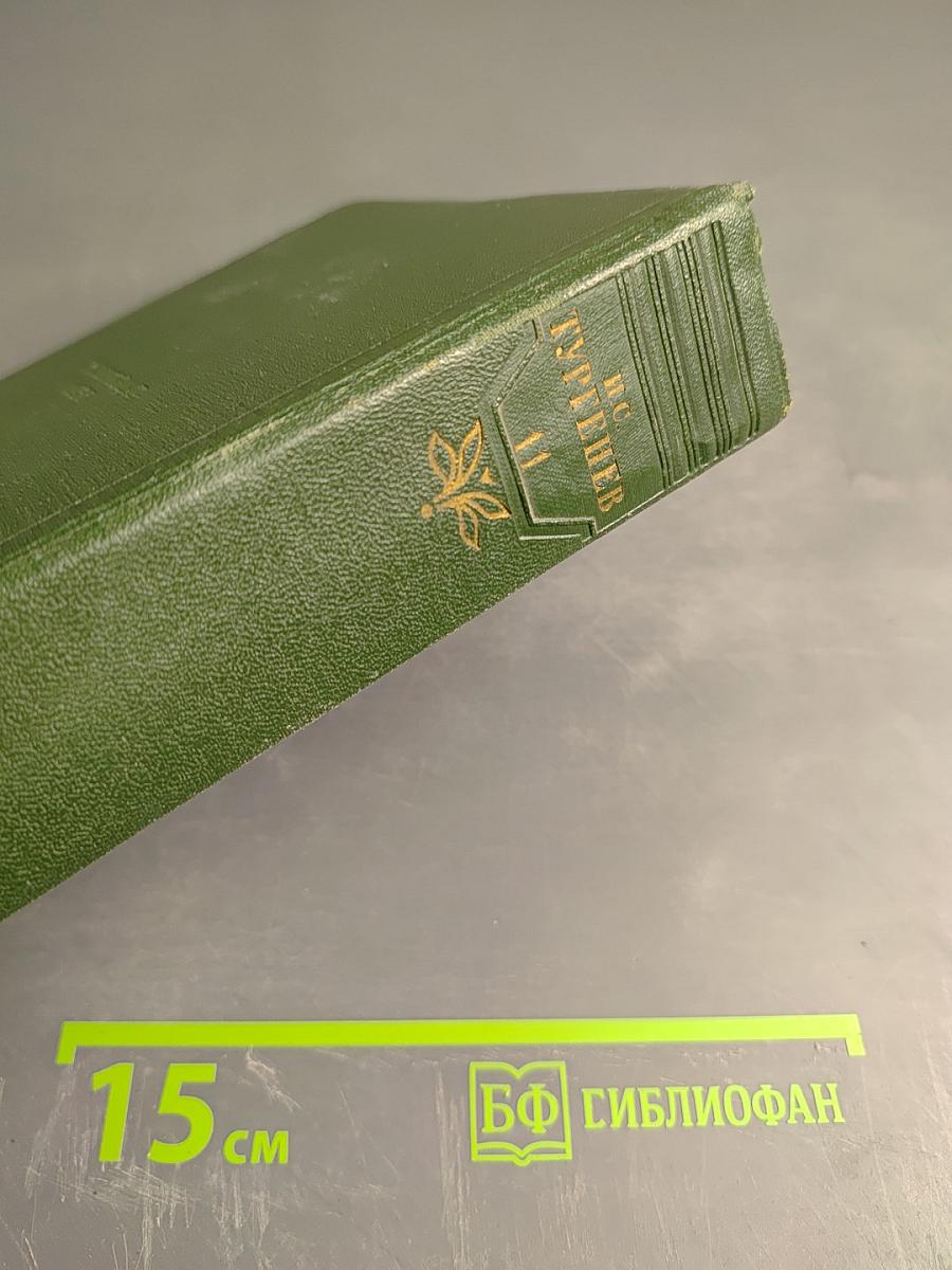 Собрание сочинений. Том одиннадцатый: Литературно-критические статьи и речи. Биографические очерки и заметки