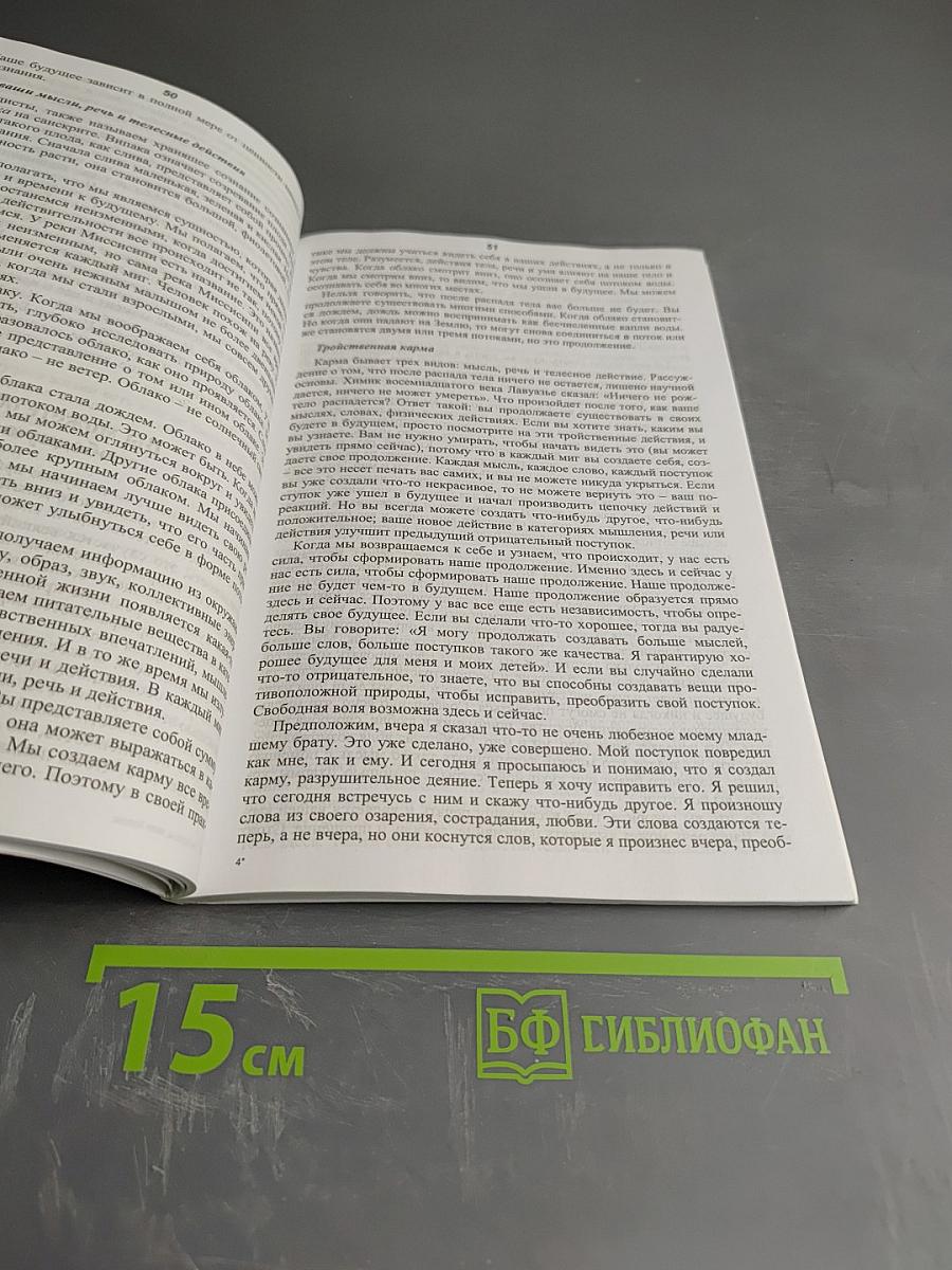 Ум Будды, тело Будды. Спокойствие бытия