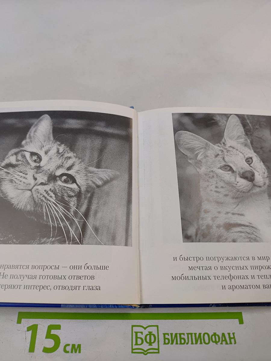 Смысл жизни