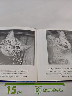 Смысл жизни