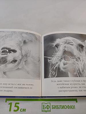 Смысл жизни