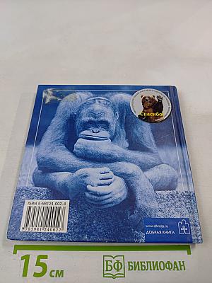 Смысл жизни