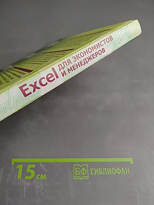 Excel для экономистов и менеджеров