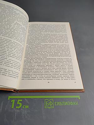 Культура Возрождения и общество