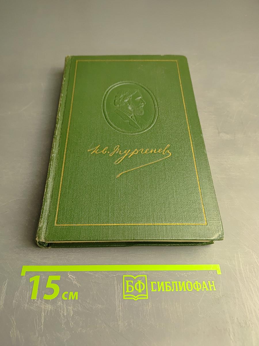 Собрание сочинений. Том шестой. Повести и рассказы 1834-1860 годов