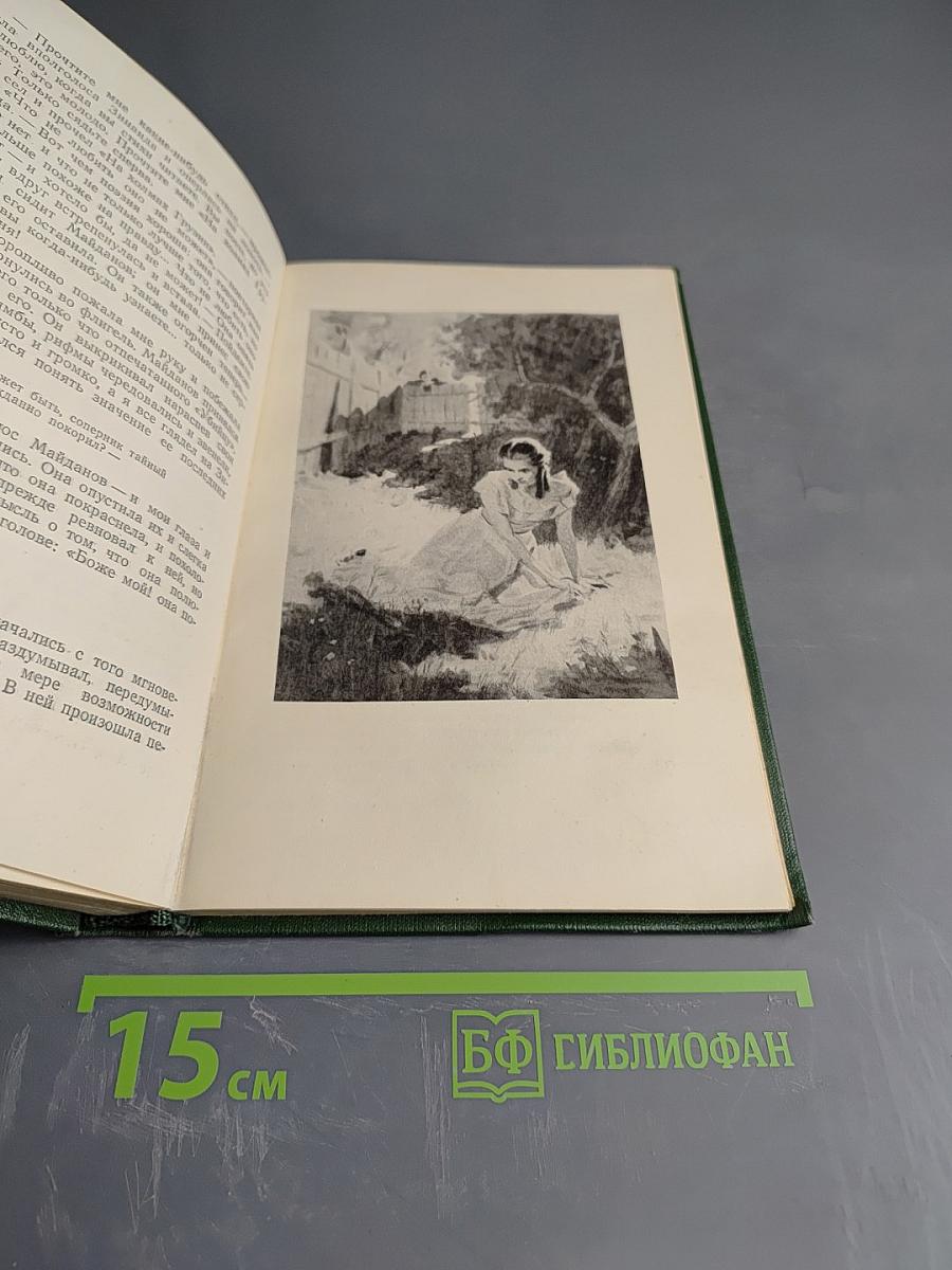 Собрание сочинений. Том шестой. Повести и рассказы 1834-1860 годов