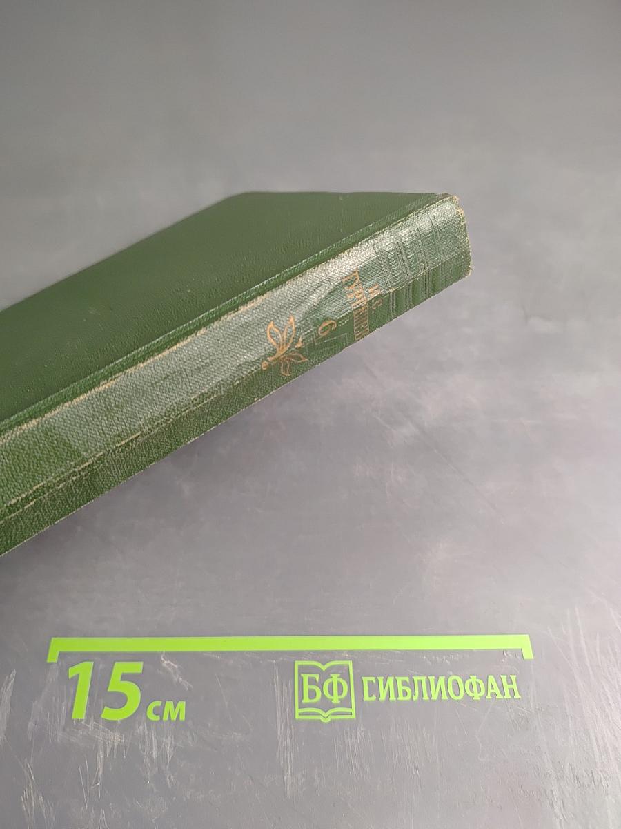 Собрание сочинений. Том шестой. Повести и рассказы 1834-1860 годов