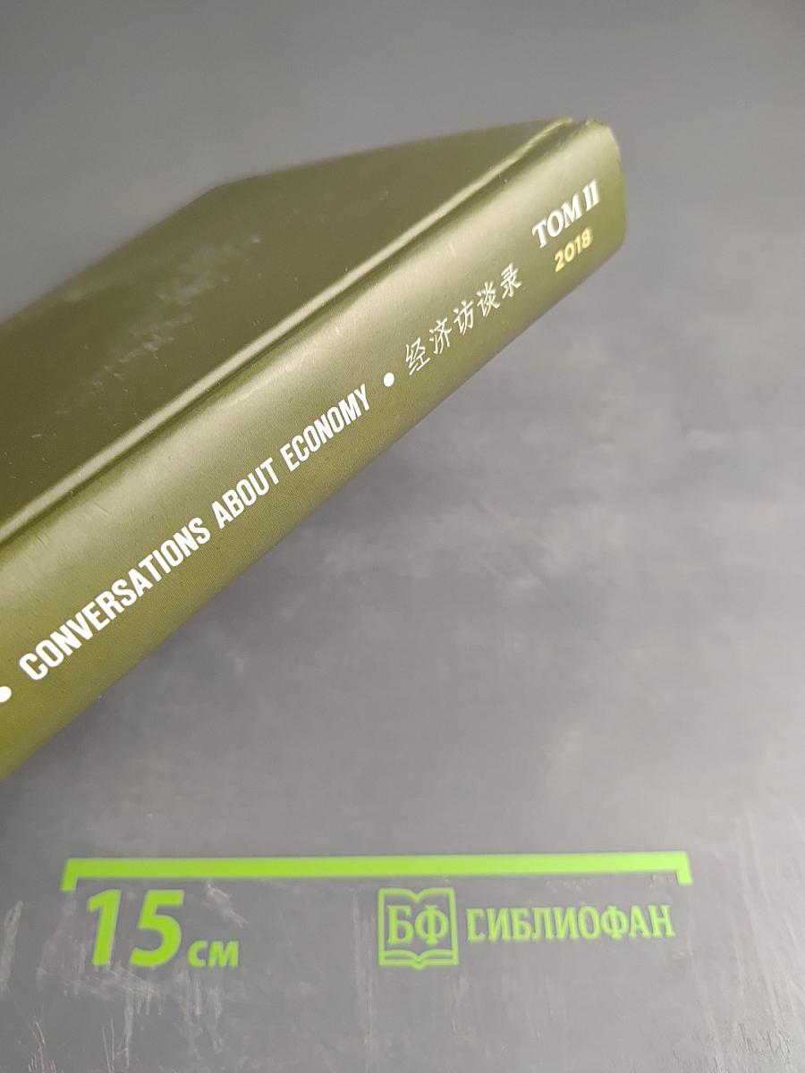 Беседы об экономике. Том II