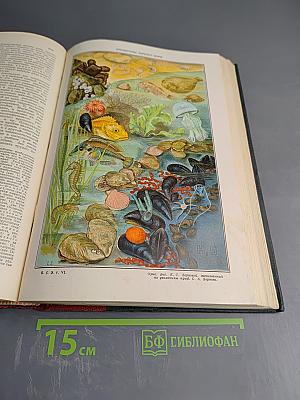 Большая Советская Энциклопедия. Том Шестой: Бессарабия – Больм