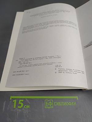 Полное руководство по рисованию фигуры человека