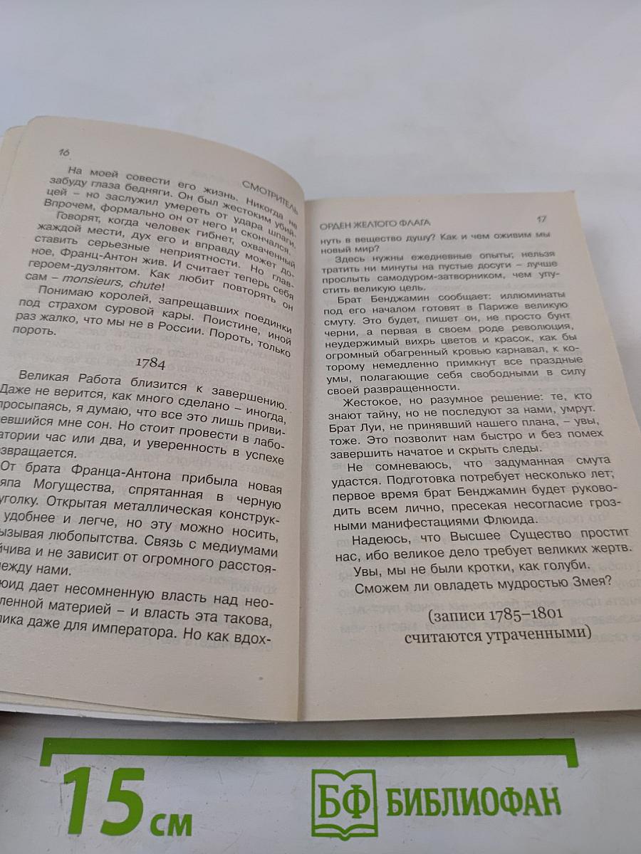Смотритель. Книга 1. Орден Желтого Флага