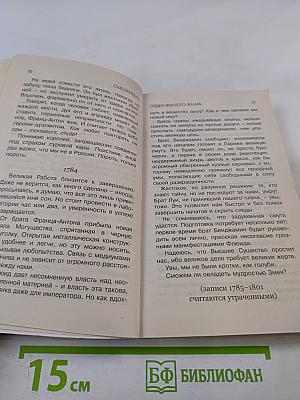Смотритель. Книга 1. Орден Желтого Флага
