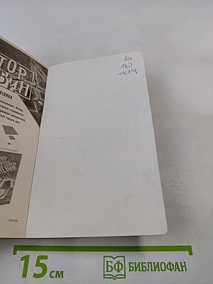 Смотритель. Книга 1. Орден Желтого Флага