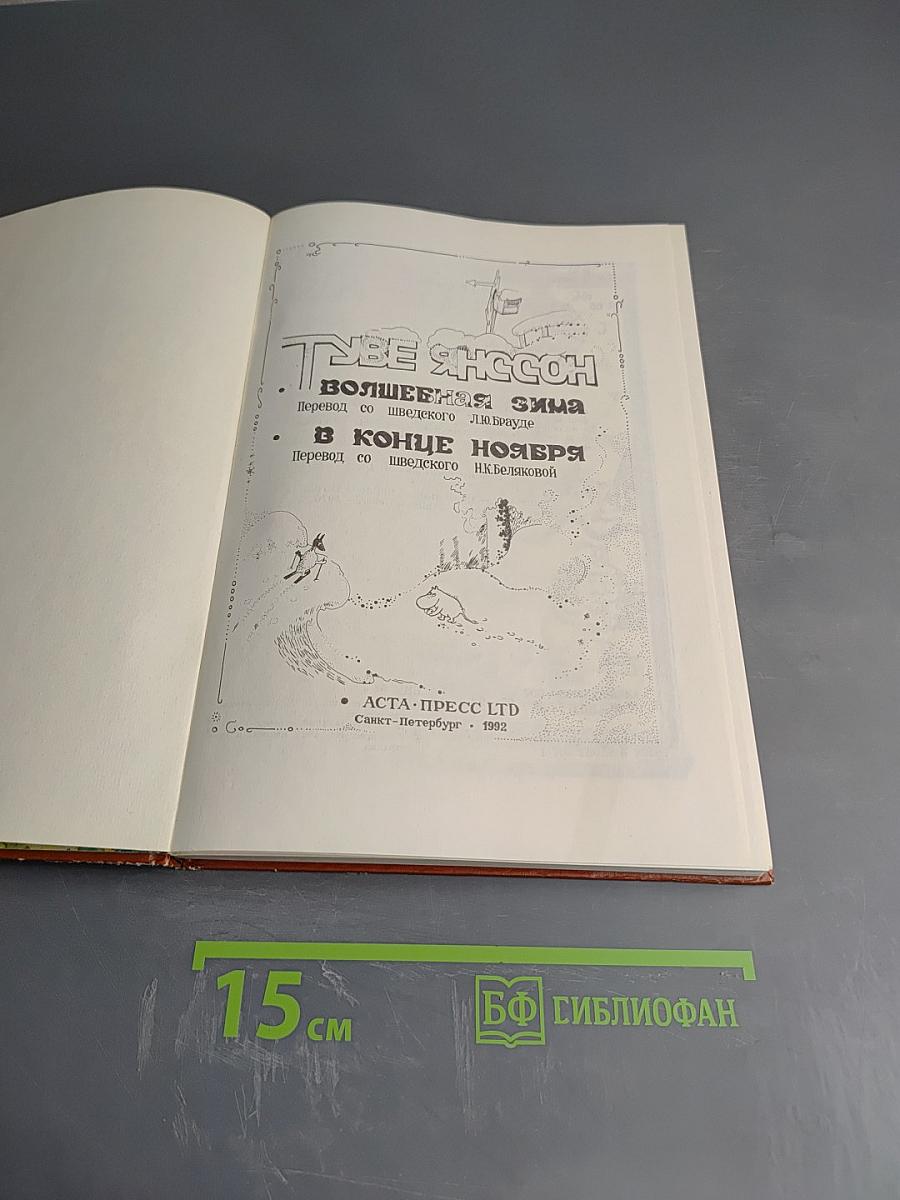 Волшебная зима. В конце ноября
